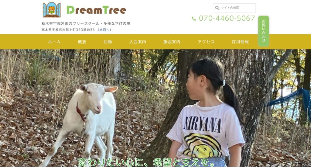 フリースクール　宇都宮市　DreamTree