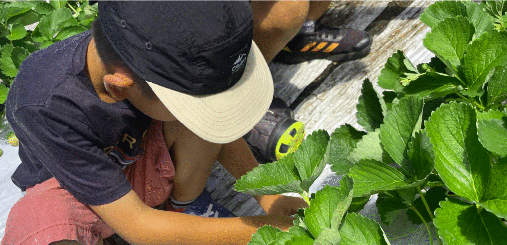 フリースクール　須坂市　フリースクール結