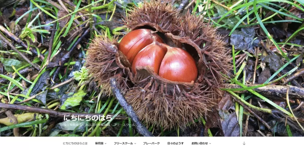 フリースクール 飯能市 にちにちのはら