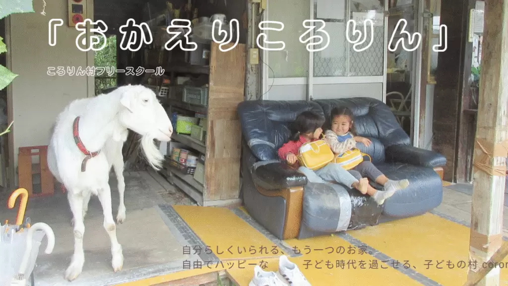 おかえりころりん ころりん村フリースクール あきる野市 フリースクール