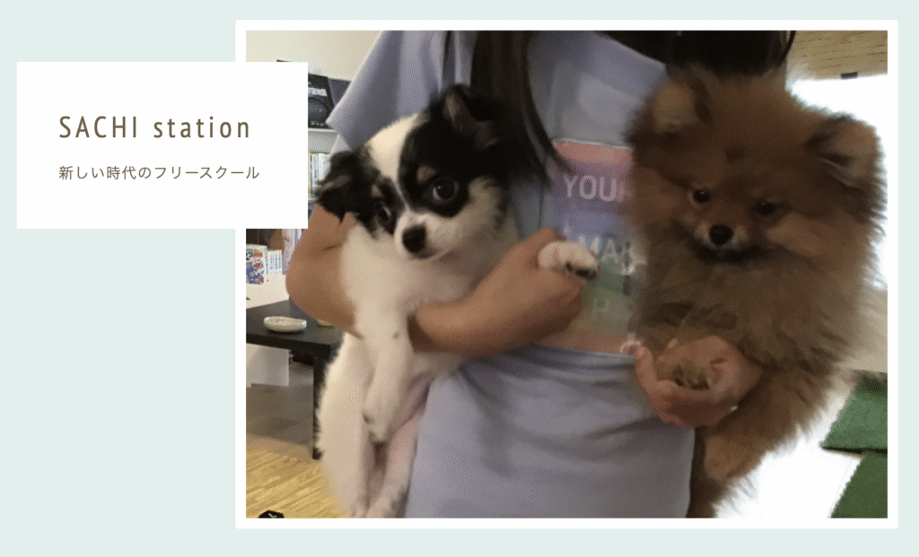 フリースクール　海老名市　フリースクール SACHI station