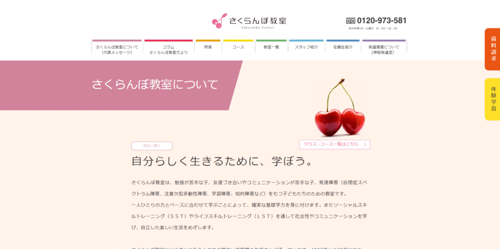 フリースクール 江東区 さくらんぼ教室