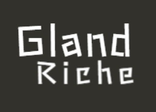 安曇野市 ディルセ フリースクール