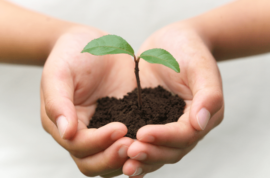 きのくに教室（熊野教育支援センター）　熊野市　フリースクール