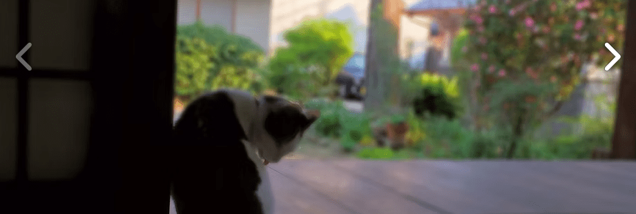 フリースクール 名古屋市 でらねこ