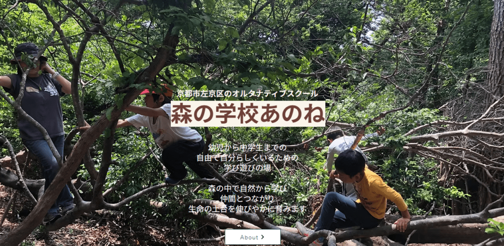 森の学校あのね 京都市 フリースクール