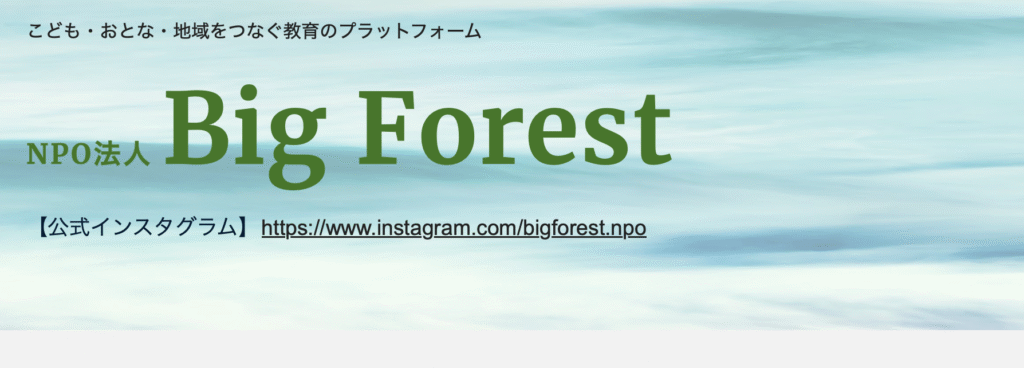 フリースクール　八王子市　NPO法人 Big Forest フリースクールForest Island