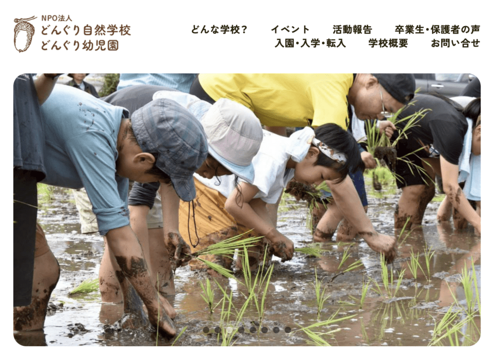 フリースクール 鹿児島市 どんぐり自然学校