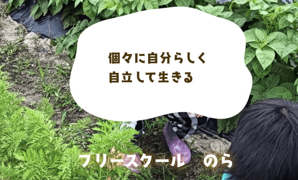 フリースクール　姫路市　フリースクールのら