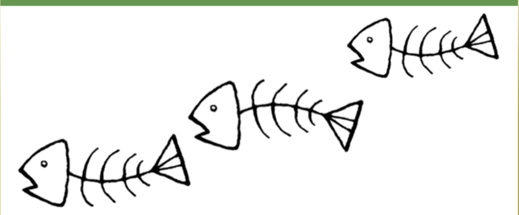 フリースクール　和歌山市　NPO法人レインボーハウス