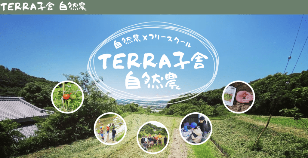 フリースクール　洲本市　TERRA子舎
